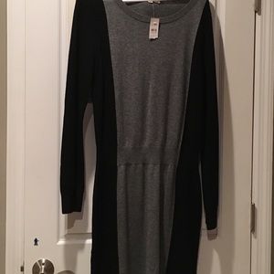 Loft sweater dress