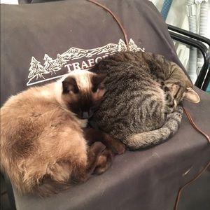 Meet your Posher, Kallie