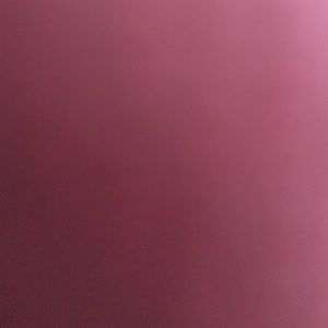 Meet your Posher, Rose