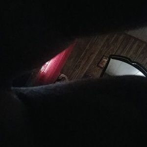 Meet your Posher, Torie