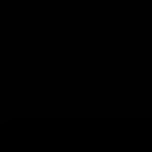 Meet your Posher, Allyson