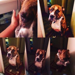 Meet your Posher, Mimi