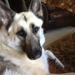 Meet your Posher, Patty