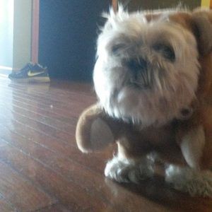 Meet your Posher, Tina