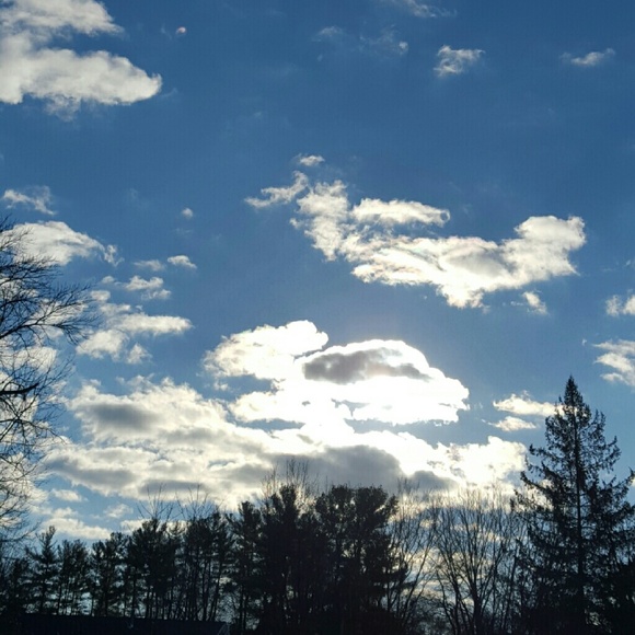 Meet your Posher, Sandra - Picture 1 of 1