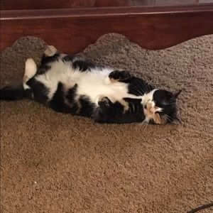 Meet your Posher, Traci