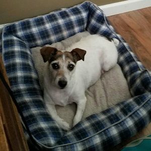 Meet your Posher, Beverly