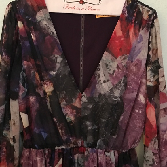 Beautiful, never been worn Alice + Olivia Dress - Picture 2 of 4