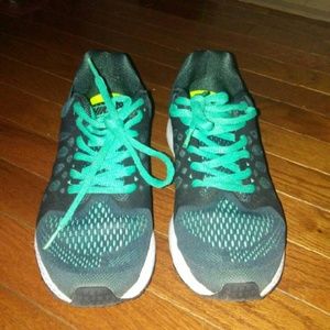 Nike pegasus 31