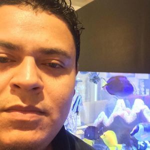 Meet your Posher, Nestor