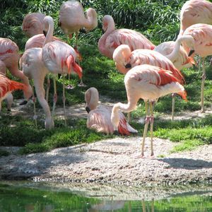 Meet your Posher, Loretta