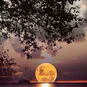 Meet your Posher, Marilyn