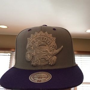 Toronto Raptors SnapBack