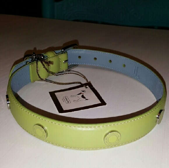 Coach Dog Collar