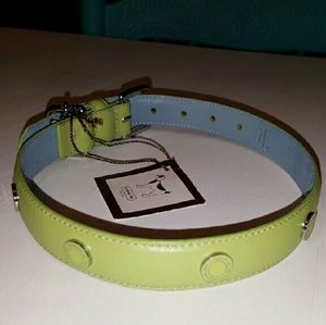 Coach Dog Collar