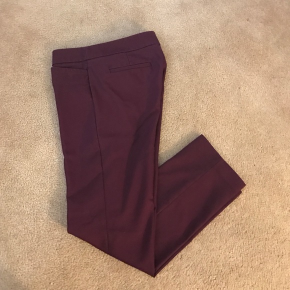 Ann Taylor LOFT Zoe pant
