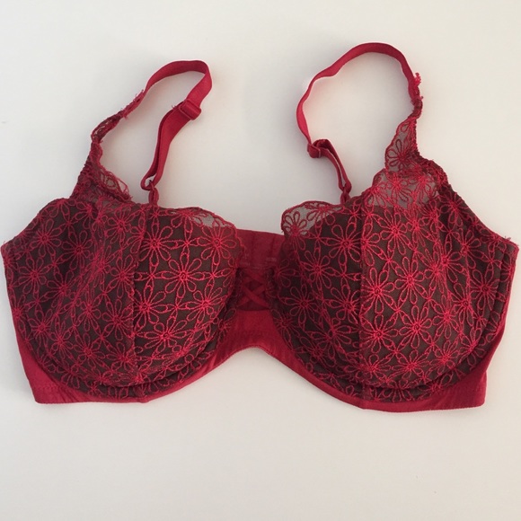 Vassarette 36DD red bra