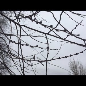 Meet your Posher, Lili