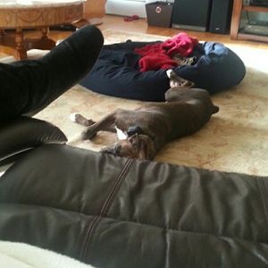 Meet your Posher, Patricia