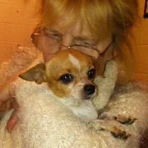 Meet your Posher, Brenda