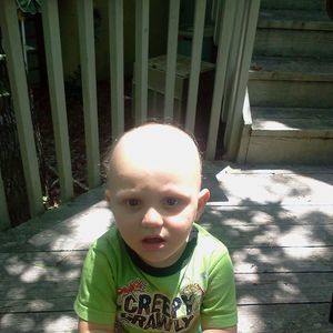 Meet your Posher, Ginger