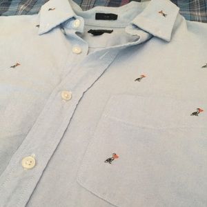 🎊 SALE 🎊 J. CREW "PELICAN" OXFORD SHIRT