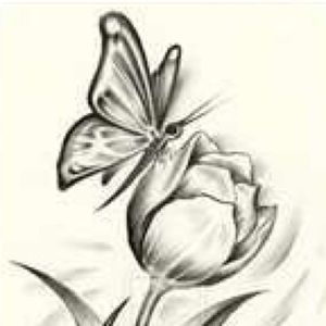 Meet your Posher, Antonia