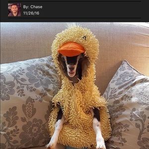 Meet your Posher, Laura