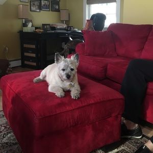 Meet your Posher, Maggie