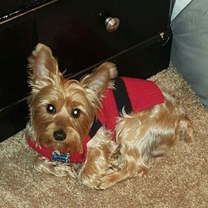 Meet your Posher, Natalie