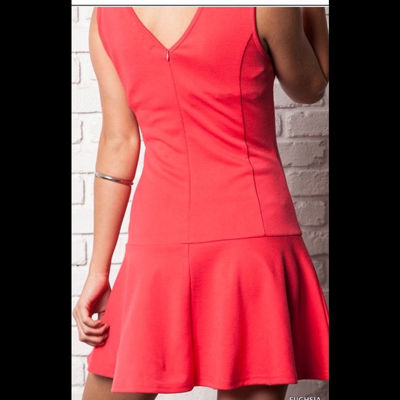 πHost Pic Sleeveless Fit & Flare Dress - Picture 4 of 6
