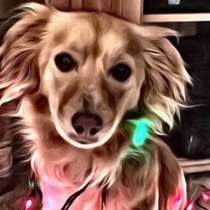 Meet your Posher, Cara