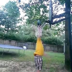 Meet your Posher, Carter