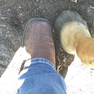 Meet your Posher, Jennifer