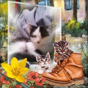 Meet your Posher, Darla