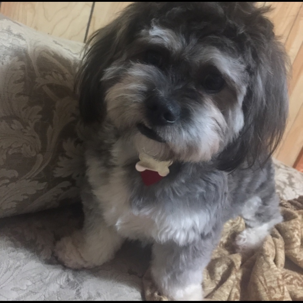 Meet your Posher, Diem