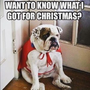 Meet your Posher, Paula