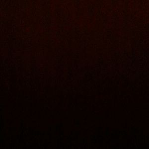 Meet your Posher, Ervieanna