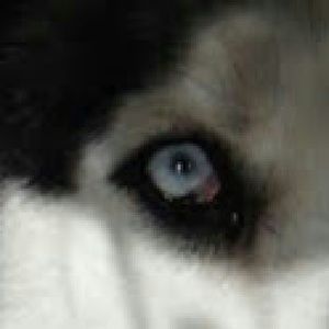 Meet your Posher, Jane