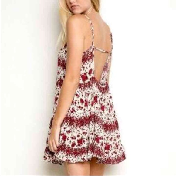 NWT Brandy Melville Jada Dress