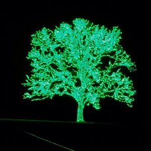 Meet your Posher, Meredith