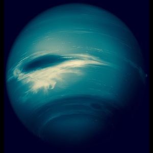 Meet your Posher, Kaylee