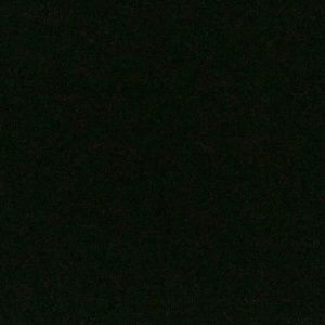 Meet your Posher, Tronda