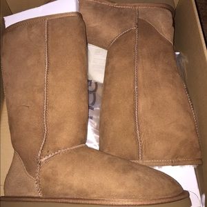 Brand New classic tall UGGS
