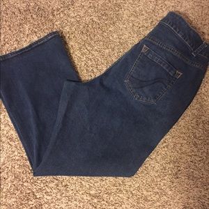 Lane Bryant 20W Petite Bootcut Blue Jeans