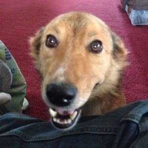 Meet your Posher, Kaedon