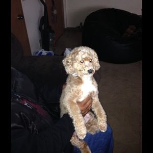 Meet your Posher, Kimberly