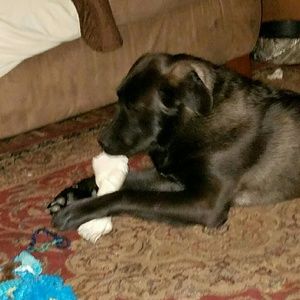 Meet your Posher, Lorie