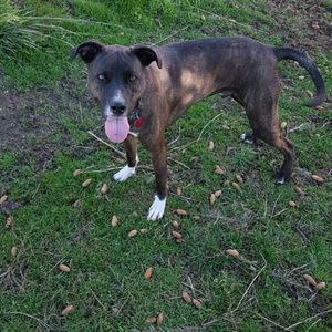 Meet your Posher, Quentin