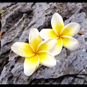 Meet your Posher, Leanne